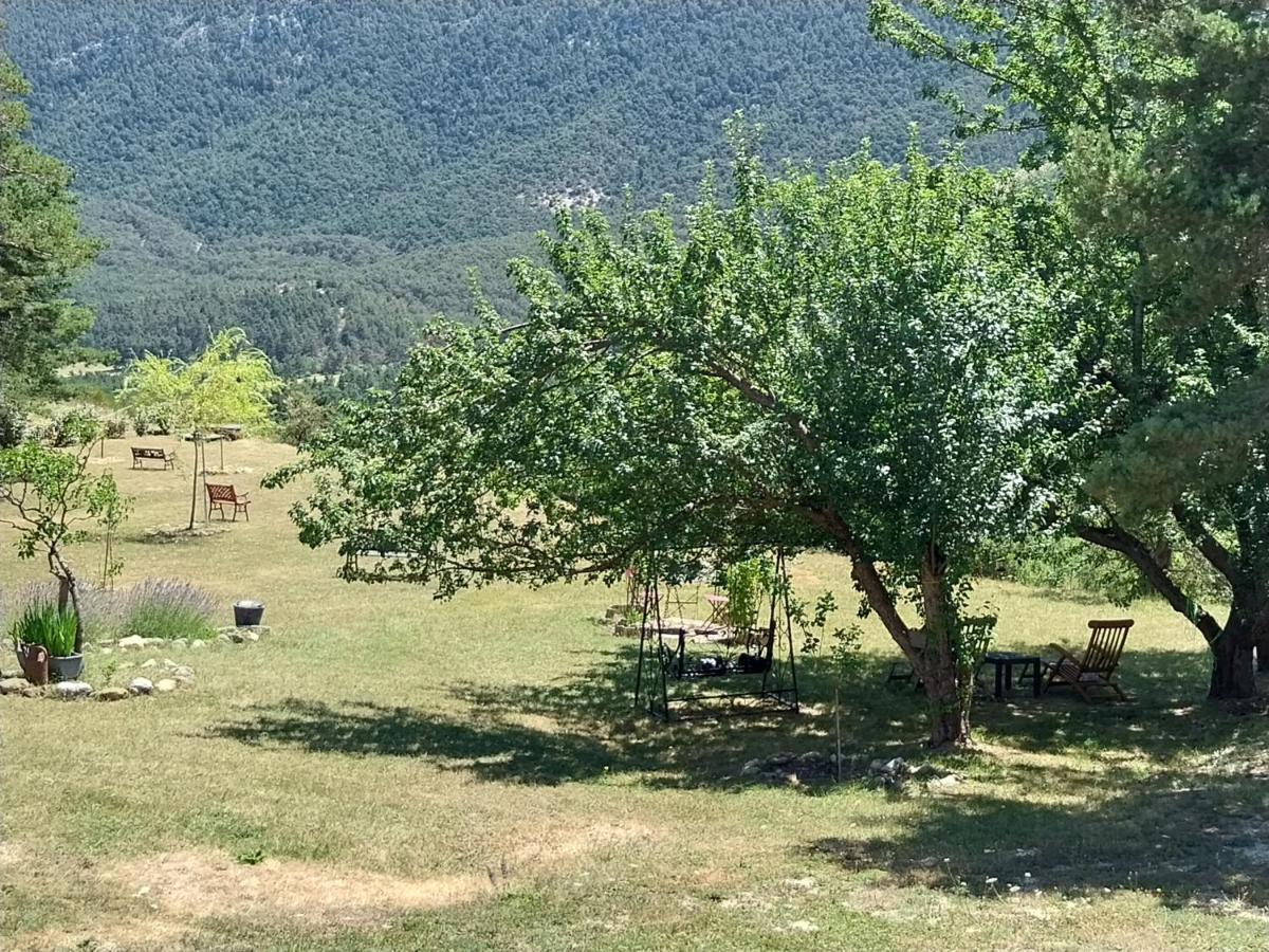 Saint-Auban  Petit Studio Dans La Prairie المظهر الخارجي الصورة