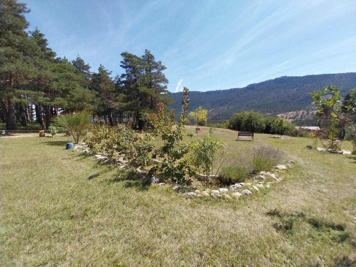 Saint-Auban  Petit Studio Dans La Prairie المظهر الخارجي الصورة